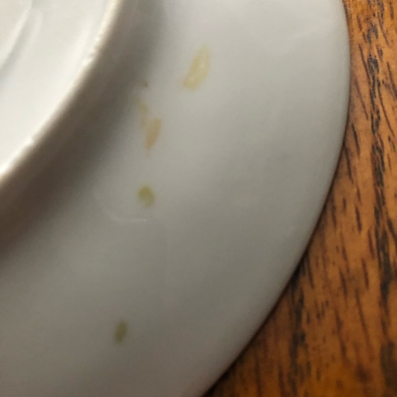 Royal Rudolstadt Prussian rose pattern gold trim tea cup and saucer Victorian - Picture 14 of 15